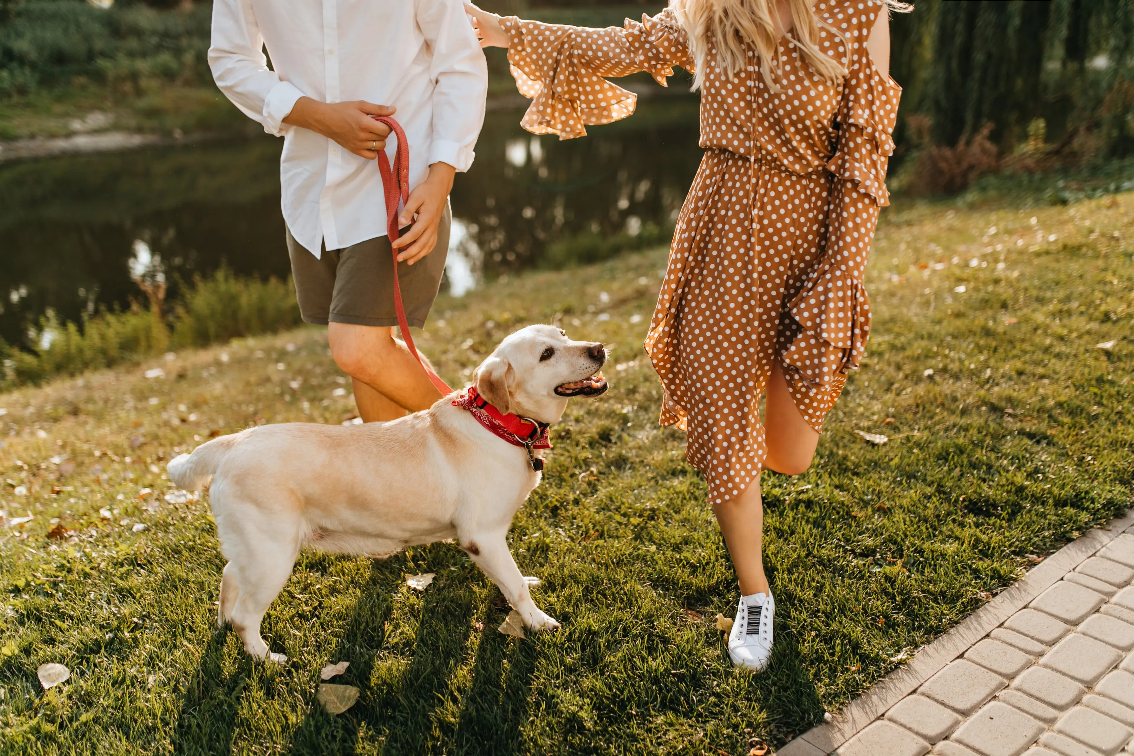 Paar geht mit seinem Hund an der Leine über eine Wiese am Wasser spazieren